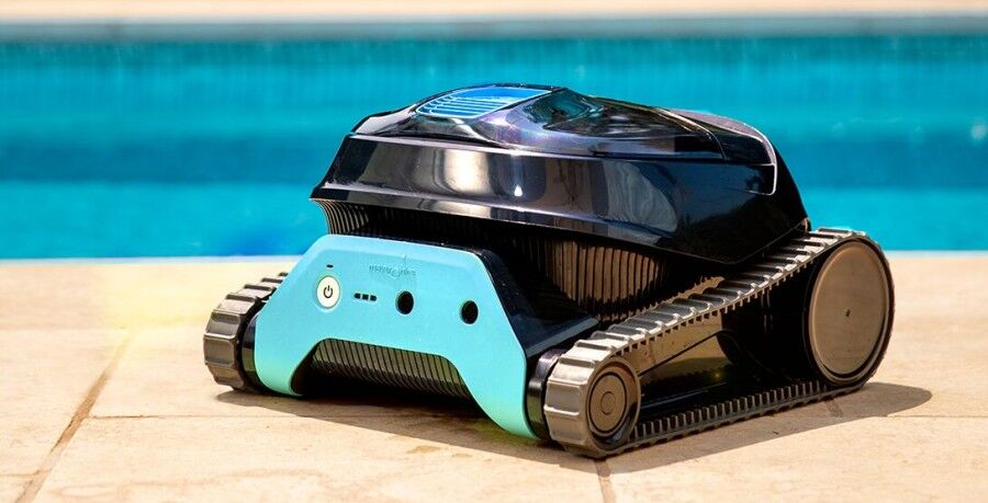 Dolphin Vrijheid 200