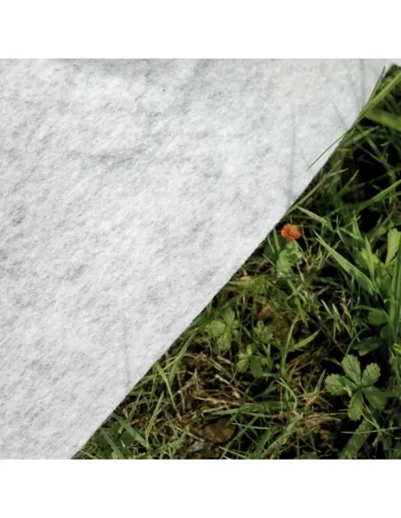 Piscina interrata Gre Sumatra Ovale