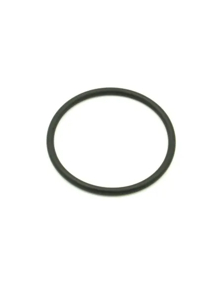 Dichtung des Vorfilterdeckels Hayward Powerflo II/Powerline/Starpump SPX8100S