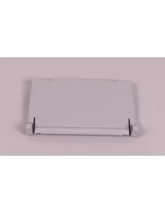 Compuerta Skimmer con Clip AstralPool Gris Claro 4402010269