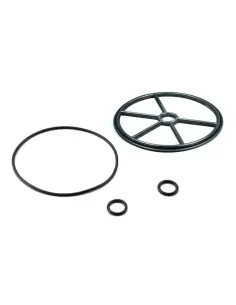 AstralPool Classic 1½" Selectieklep afdichtingsset...