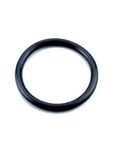 O-ring O-ring Spotlight AstralPool 4403010304