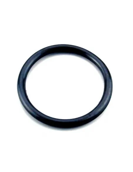 O-ring O-ring Spotlight AstralPool 4403010304