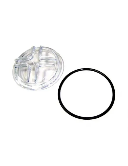 Victoria Plus Pumpenvorfilterdeckel AstralPool 4405010702