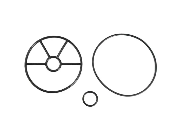 Kit de vedação da válvula selectora AstralPool...