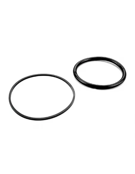 AstralPool Projectorring Pakkingen 4403010602