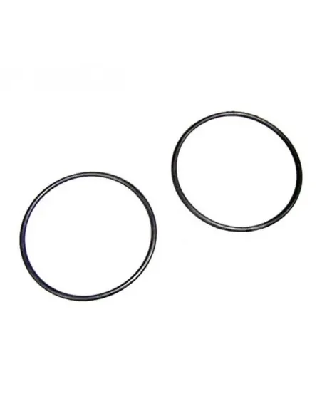 AstralPool Sena Pumpe Links Dichtung 4405010438