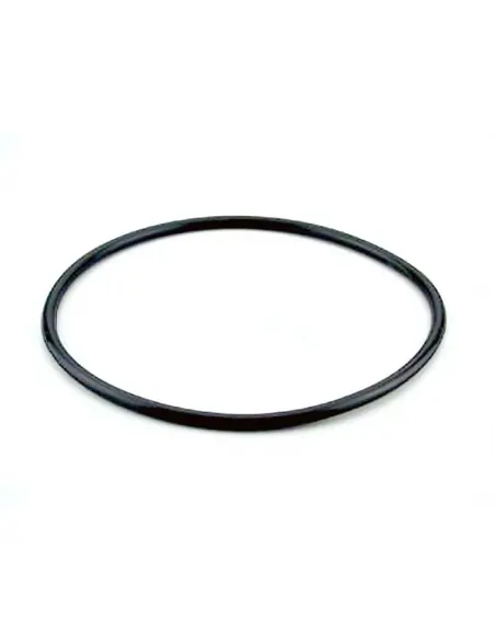 AstralPool Berlijn filterdeksel afdichting 4404070101