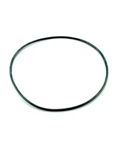O-ring 255x4 AstralPool filter 4404020116