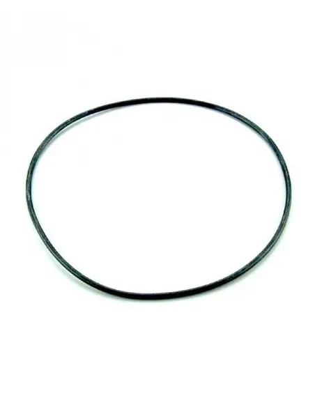 O-Ring 255x4 AstralPool Filter 4404020116