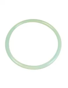 AstralPool Aster filterdeksel afdichting 4404020111