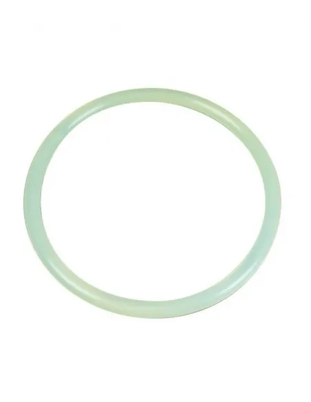 AstralPool Aster filterdeksel afdichting 4404020111