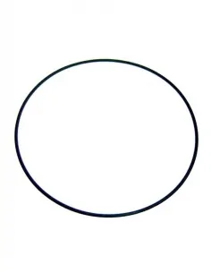 Atlas AstralPool filter bevestigingsring pakking 4404260106