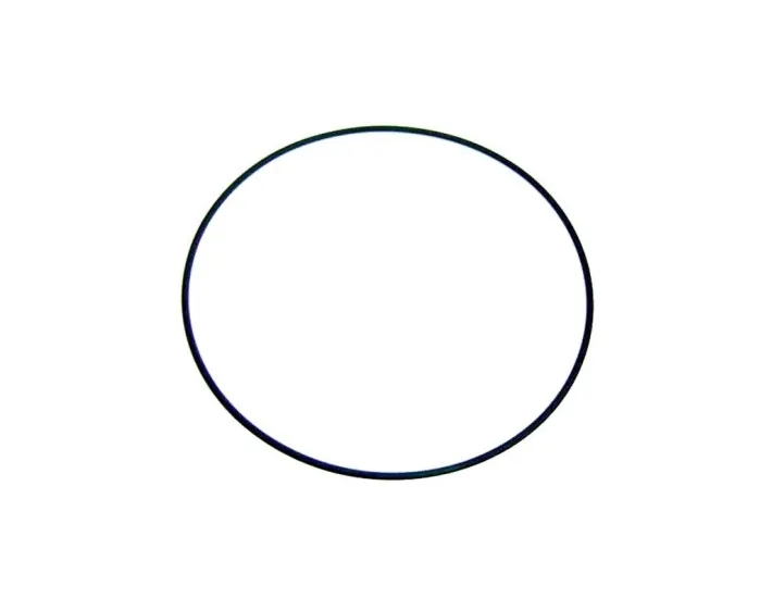 Atlas AstralPool filter bevestigingsring...