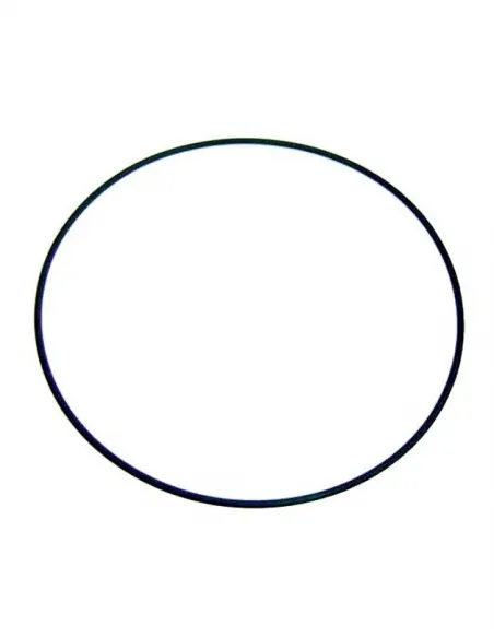 Atlas AstralPool filter bevestigingsring pakking 4404260106