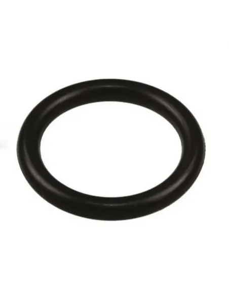O-Ring Diam. 38 AstralPool 4406040103