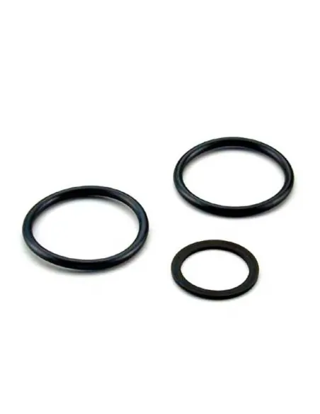 Guarnizioni per il collegamento della valvola selettrice AstralPool da 1½" 4404120205