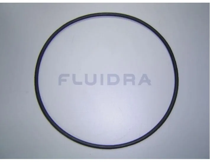 O-ring D.192X5mm AstralPool Maxim Pomp