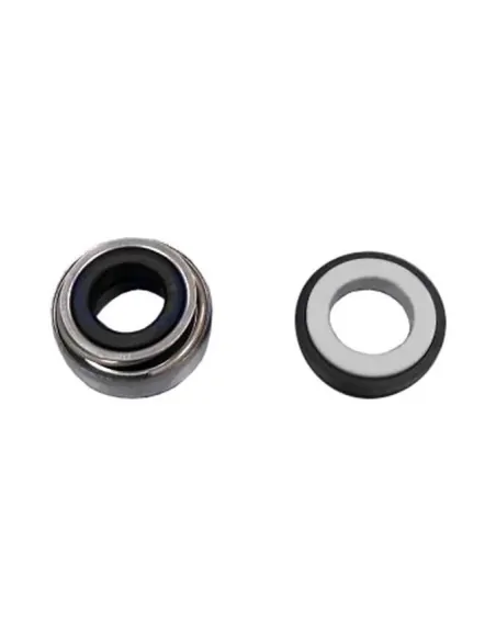 Tenuta meccanica Pompe AstralPool 4405010118