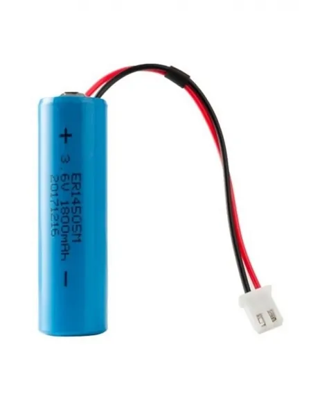 Blue Connect Lithium Batterij