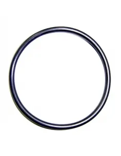 AstralPool Smart en Elite zoutwater chlorinator O-ring...