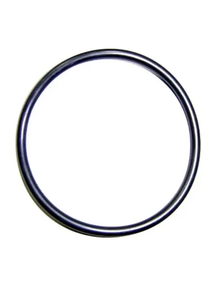 AstralPool Smart und Elite Salzwasserchlorinator O-Ring 4408041118