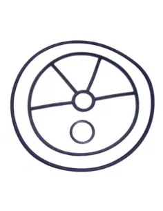 Ventildichtungen 1 ½" AstralPool EC 4404122104