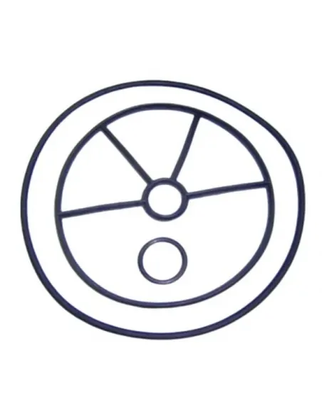 Vedantes das válvulas 1 ½" AstralPool EC 4404122104