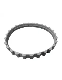 AstralPool 3201G rupsband zwembadreiniger