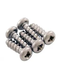 Vite 4*12 mm Zodiac Vortex (confezione da 5 pezzi) R0516700
