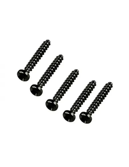 Screw 4*25 mm Zodiac Vortex (pack 5 pcs.) R0638900