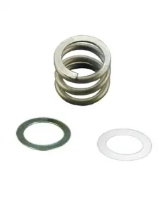 AstralPool Classic selectieklepveer en sluitringen...