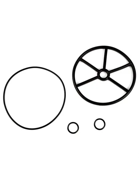 AstralPool Classic 2" Selektorventil-Dichtungssatz 4404120407