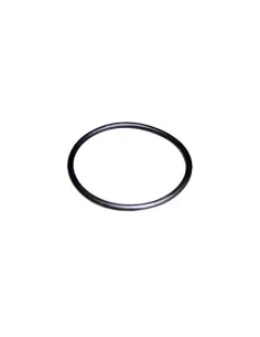 O-ring D.56,7x3,5 Victoria Plus AstralPool pomp 4405010161