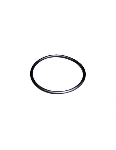 O-ring D.56,7x3,5 Victoria Plus pompa AstralPool 4405010161