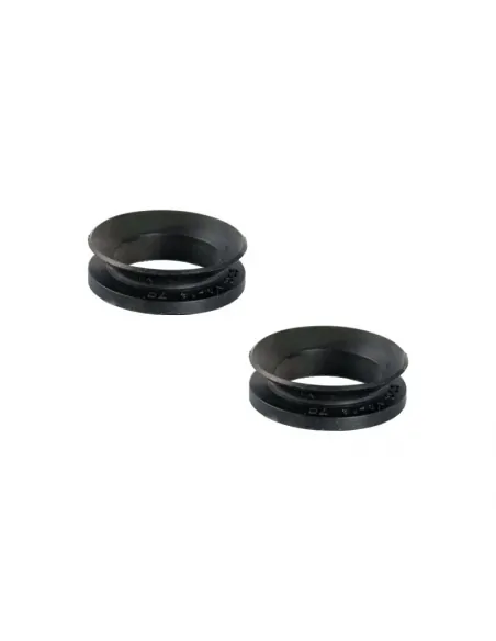 V-Ringe 0,5HP-1HP für AstralPool Alaska Plus Pumpe