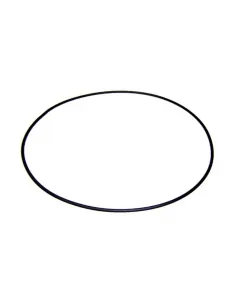 Victoria Plus AstralPool pomp motor flensafdichting...