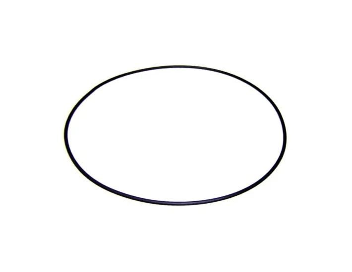 Victoria Plus AstralPool Pumpenflanschdichtung...