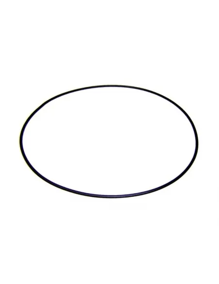 Victoria Plus AstralPool Pumpenflanschdichtung 4405010160