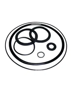 Victoria Plus AstralPool rubberen pakkingset 4405010103