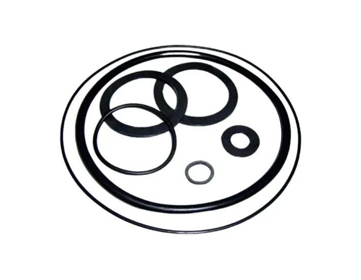 Victoria Plus AstralPool Gummidichtungssatz...