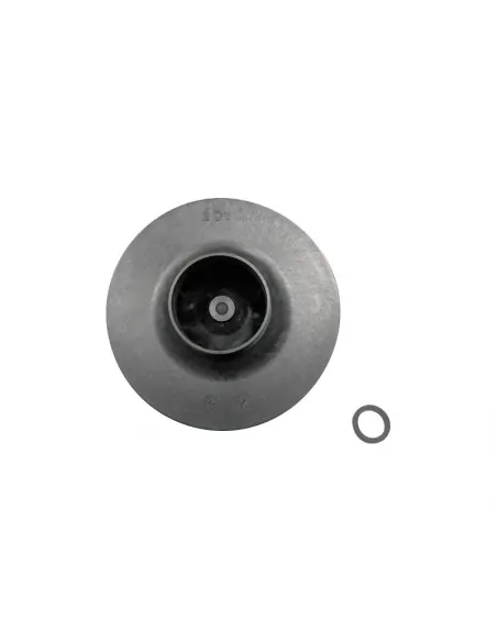 Waaier 2 HP 50Hz Victoria Plus eenfasepomp AstralPool 4405010599