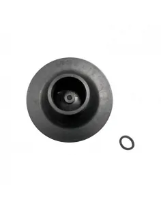 Waaier ¾ pk 50Hz Victoria Plus eenfasepomp AstralPool...