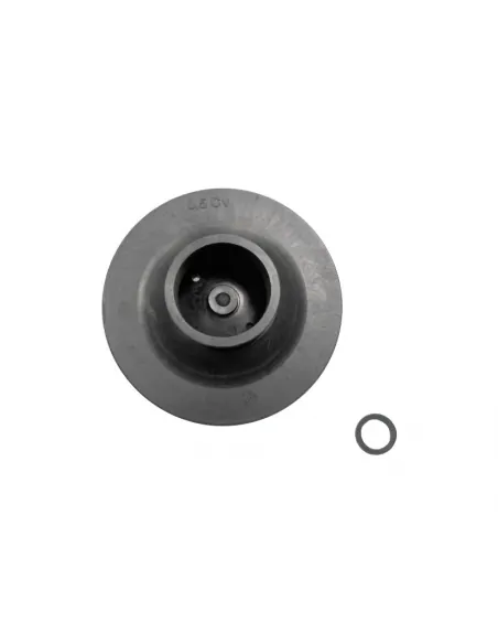 Waaier ½ CV 50Hz Victoria Plus eenfasepomp AstralPool 4405010591