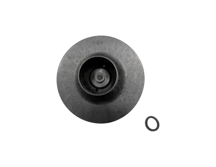 Waaier 1 HP 50Hz Victoria Plus eenfasepomp...