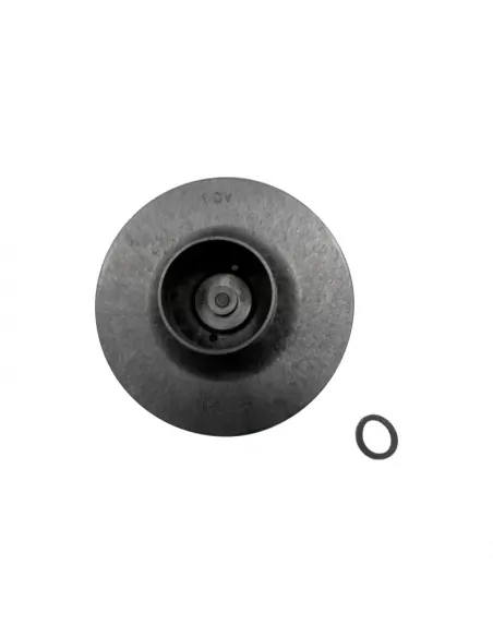 Waaier 1 HP 50Hz Victoria Plus eenfasepomp AstralPool 4405010595