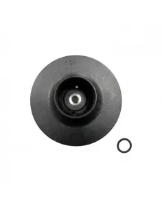 Waaier 1 HP 50Hz Victoria Plus driefasenpomp AstralPool...