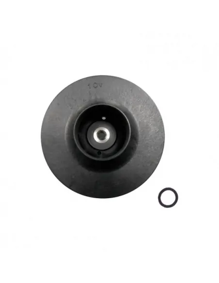 Waaier 1 HP 50Hz Victoria Plus driefasenpomp AstralPool 4405010596