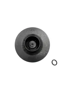 Waaier 1,5 HP 50Hz Victoria Plus eenfasepomp AstralPool...