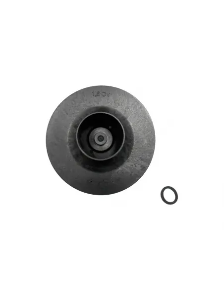 Waaier 1,5 HP 50Hz Victoria Plus eenfasepomp AstralPool 4405010597